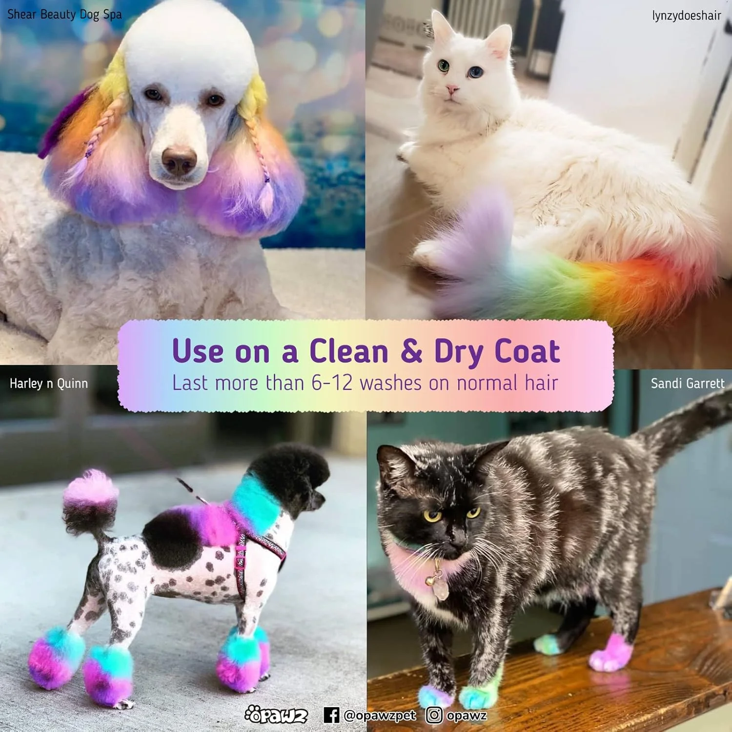 رنگ موی نیمه دائمی سگ OPAWZ، رنگدانه خوراکی، رنگ موی غیر سمی برای سگ، گربه و همه حیوانات خانگی قابل شستشو (نارنجی کدو تنبل)