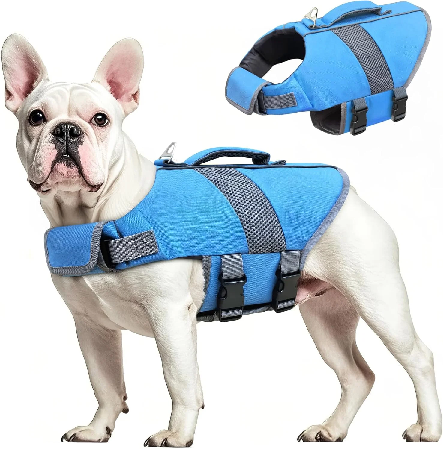 جلیقه نجات سگ با شناوری بالا، جلیقه نجات بازتابنده سگ، کت ایمنی حیوانات خانگی، لباس شنا برای سگ های کوچک، متوسط و بزرگ برای شنا، قایق سواری، موج سواری و قایق رانی جلیقه نجات سگ با شناوری بالا، جلیقه نجات بازتابنده سگ، کت ایمنی حیوانات خانگی، لباس شنا برای سگ های کوچک، متوسط و بزرگ برای شنا، قایق سواری، موج سواری و قایق رانی