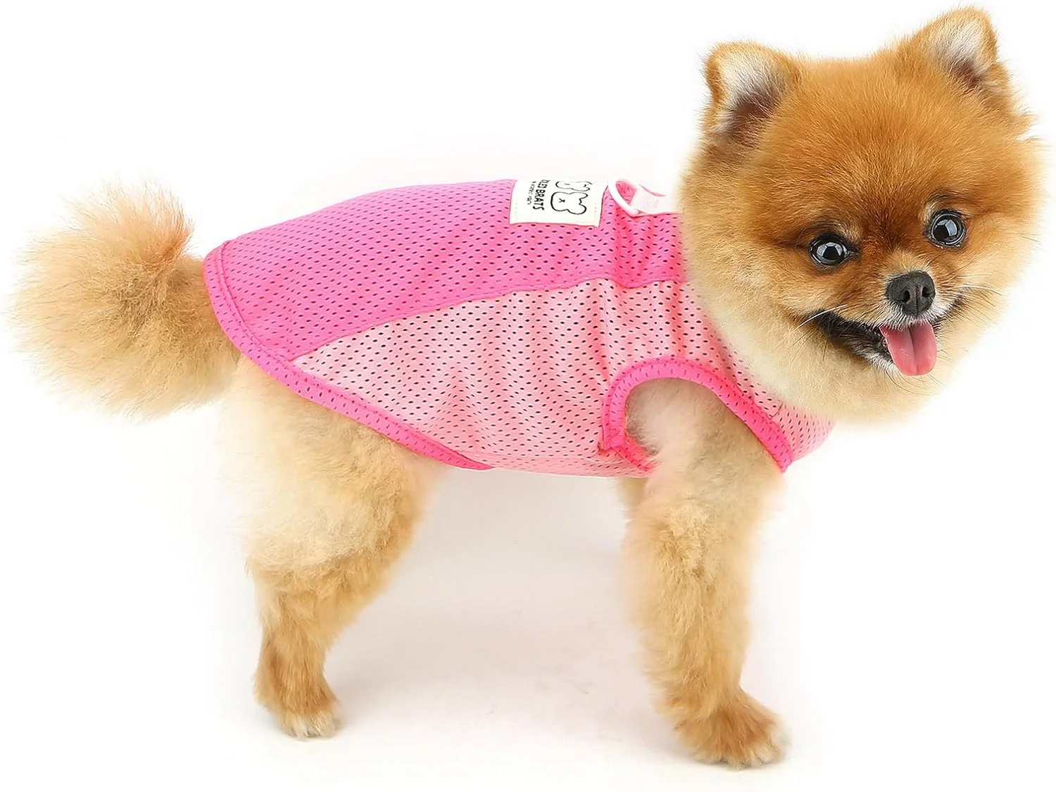 تی‌شرت توری تنفسی PAIDEFUL برای سگ‌های کوچک، جلیقه خنک تابستانی سگ، تی‌شرت نرم و سبک توله سگ، تاپ بدون آستین حیوانات خانگی، لباس‌های راحت چی‌واوا، لباس گربه با حلقه D، صورتی، XS