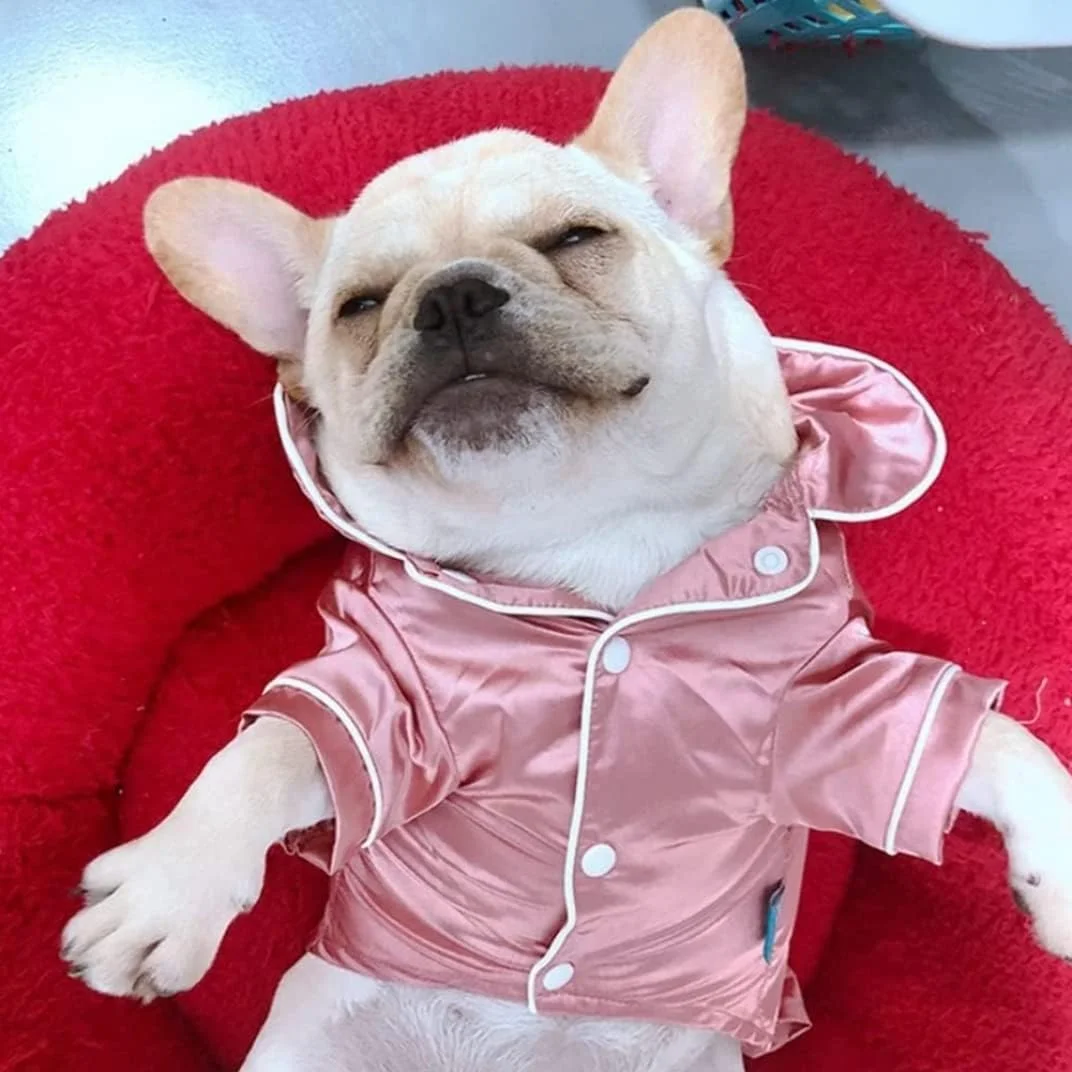 لباس خواب سگ، پیراهن های نرم ابریشمی، لباس راحتی، لباس خواب توله سگ، 1 عدد پیراهن نرم ابریشمی، لباس راحتی یقه دار دو پا، پیراهن خواب برای تمام فصول (صورتی، S) لباس خواب حیوانات خانگی