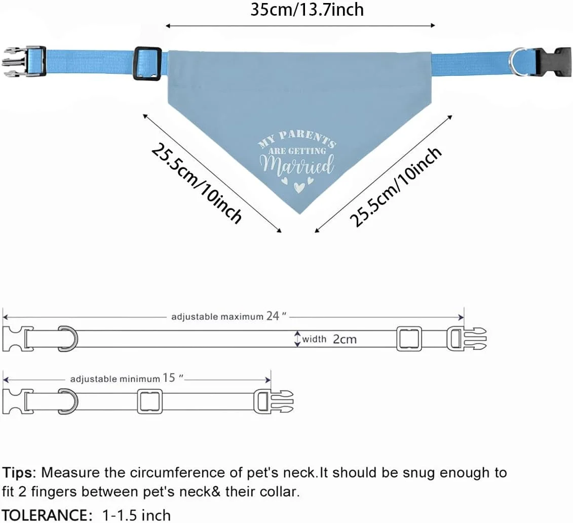دستمال گردن سگ با سگک قابل تنظیم با طرح «والدین من دارند ازدواج میکنند»، دستمال گردن سگ برای اعلام عروسی، قلاده حیوانات خانگی قابل تنظیم با سگک رهاسازی سریع برای حیوانات خانگی کوچک، متوسط و بزرگ (آبی) دستمال گردن سگ با سگک قابل تنظیم با طرح «والدین من دارند ازدواج میکنند»، دستمال گردن سگ برای اعلام عروسی، قلاده حیوانات خانگی قابل تنظیم با سگک رهاسازی سریع برای حیوانات خانگی کوچک، متوسط و بزرگ (آبی)