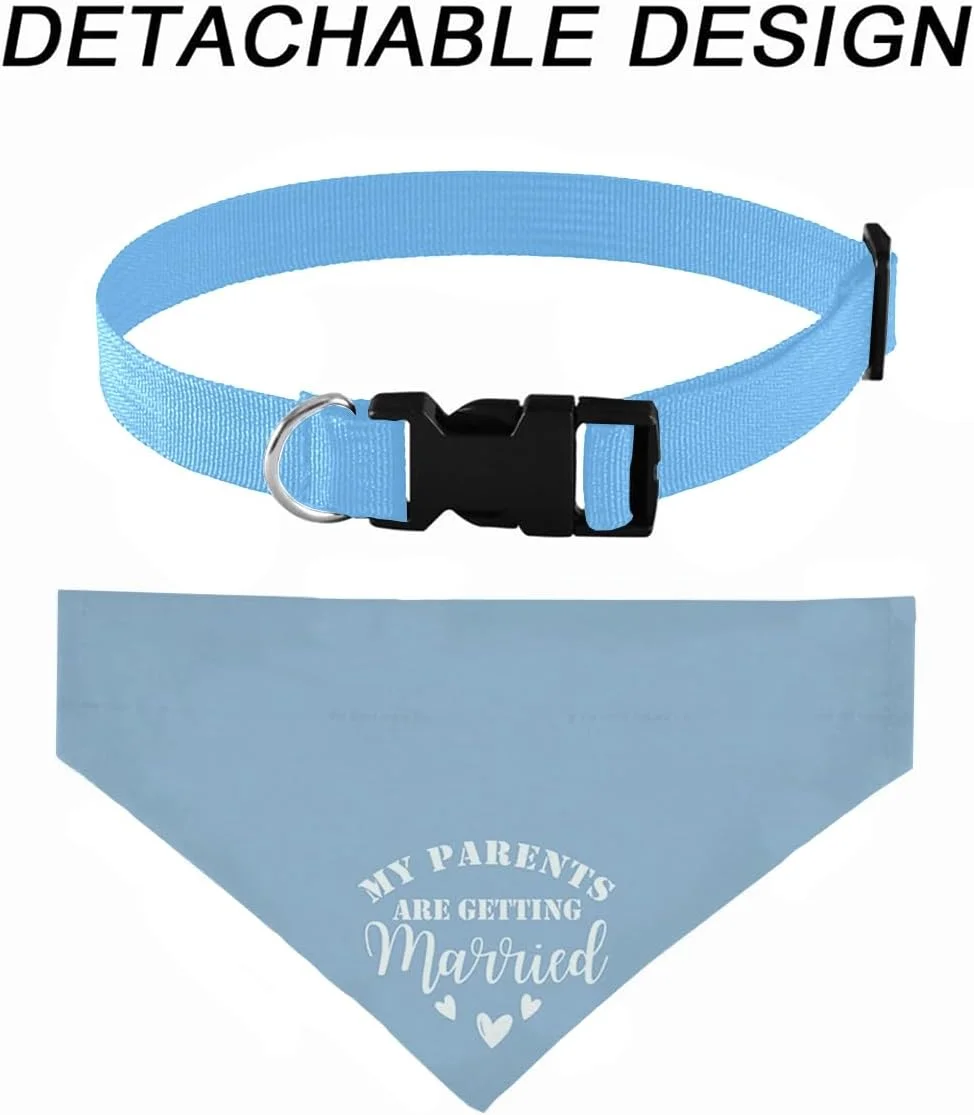 دستمال گردن سگ با سگک قابل تنظیم با طرح «والدین من دارند ازدواج میکنند»، دستمال گردن سگ برای اعلام عروسی، قلاده حیوانات خانگی قابل تنظیم با سگک رهاسازی سریع برای حیوانات خانگی کوچک، متوسط و بزرگ (آبی) دستمال گردن سگ با سگک قابل تنظیم با طرح «والدین من دارند ازدواج میکنند»، دستمال گردن سگ برای اعلام عروسی، قلاده حیوانات خانگی قابل تنظیم با سگک رهاسازی سریع برای حیوانات خانگی کوچک، متوسط و بزرگ (آبی)