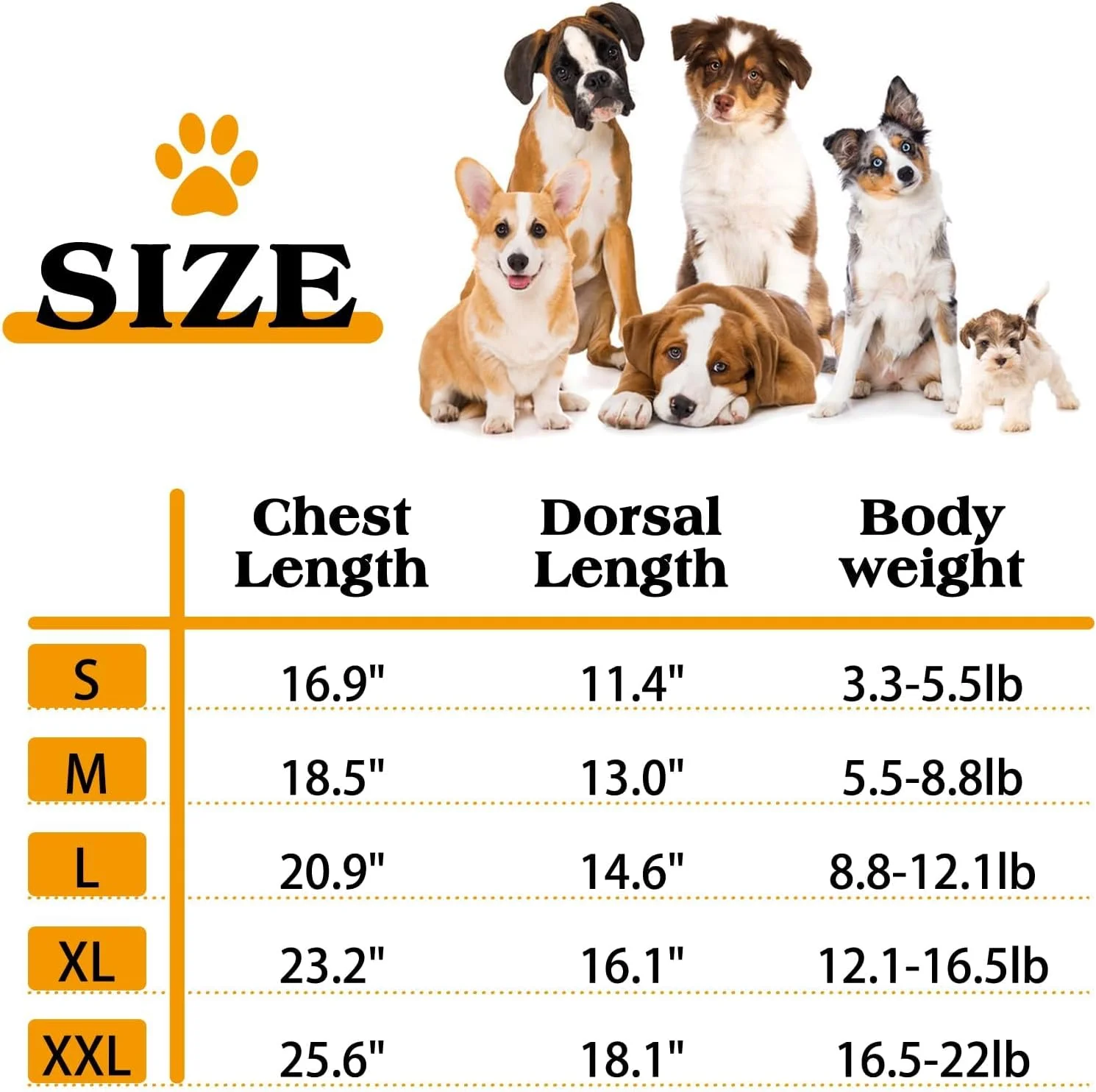 بارانی سگ ضد آب Paporich، سگ 4 پا قابل تنظیم، ژاکت بارانی با کلاه و سوراخ قلاده، پانچو بارانی سبک وزن بازتابنده در فضای باز، مناسب برای سگ های کوچک و متوسط (زرد، متوسط)