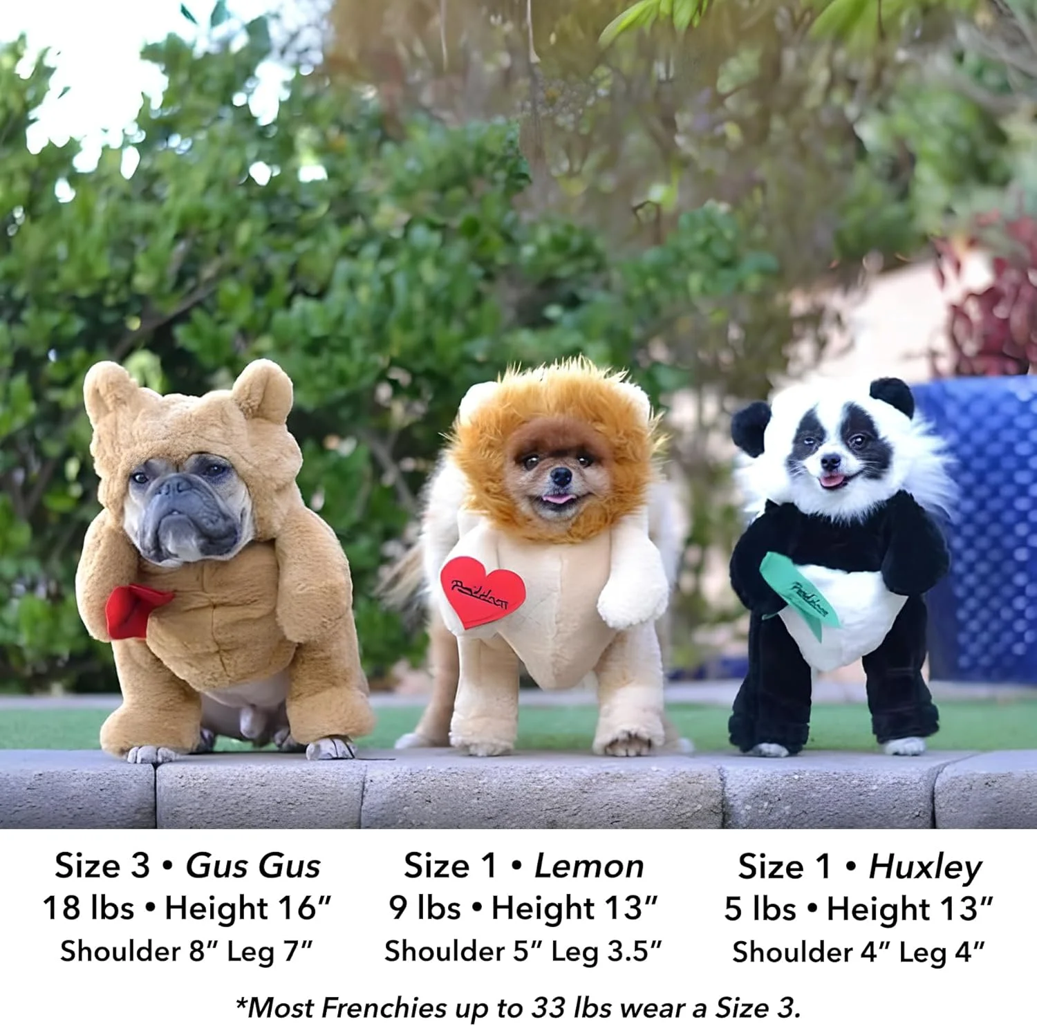 ست لباس سگ و حیوانات خانگی Pandaloon - خرس عروسکی متحرک با دست ها (خرسی، سایز 3 (قد 43-48 سانتی متر از بالای سر، دور سینه <56 سانتی متر))