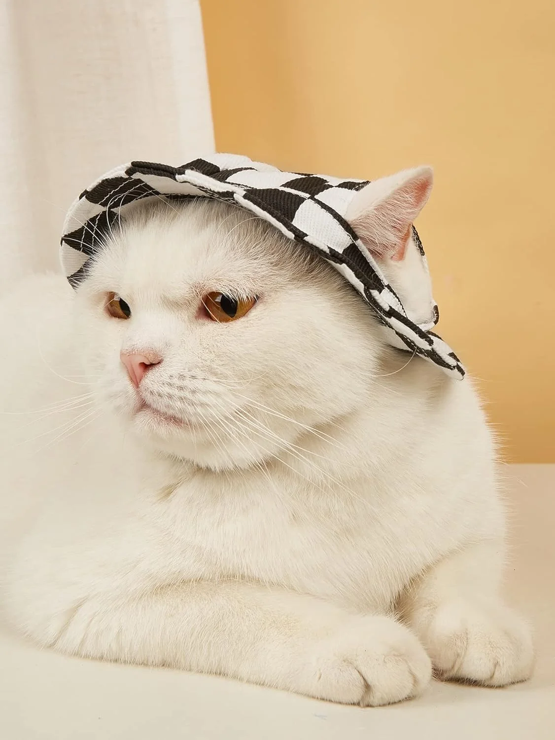 کلاه سگ طرح چهارخانه با سوراخ گوش لبه گرد کلاه آفتابگیر سگ گربه توله سگ کلاه سطلی محافظت در برابر آفتاب در فضای باز کلاه حیوانات خانگی برای گربه ها سگ های کوچک متوسط (سیاه و سفید، M)