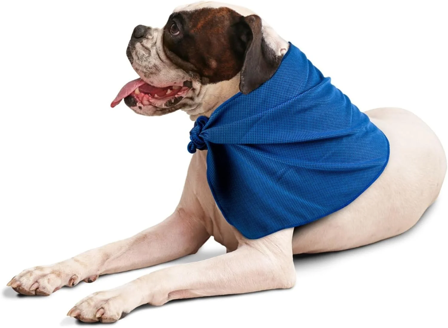 دستمال گردن خنک کننده PawPride برای سگ ها و گربه ها - یقه سبک و آرامش بخش برای آسایش در تابستان