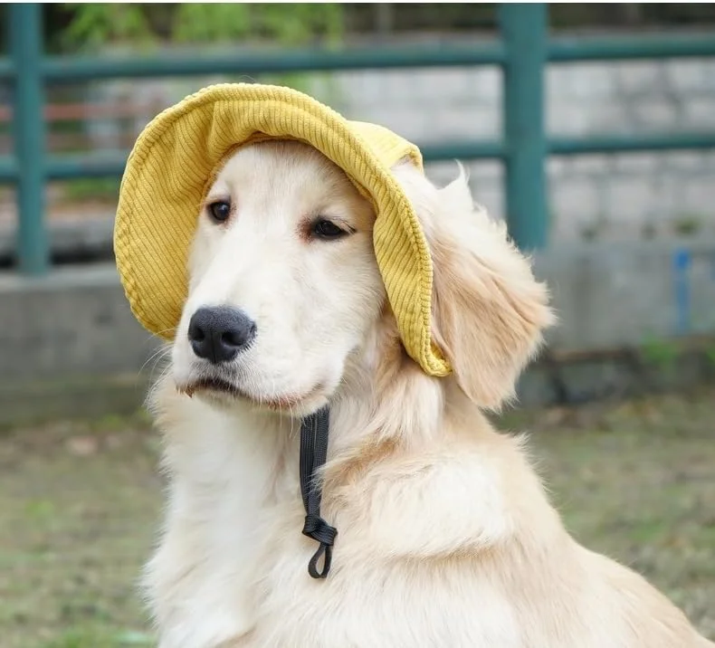کلاه سگ، کلاه آفتابگیر سگ تابستانی، کلاه بیسبال سگ و گربه خانگی قابل تنظیم، کلاه نقاب دار با سوراخ های گوش، کلاه نقاب دار حیوانات خانگی لباس و لوازم جانبی خوبی برای سگ ها است (زرد، S)