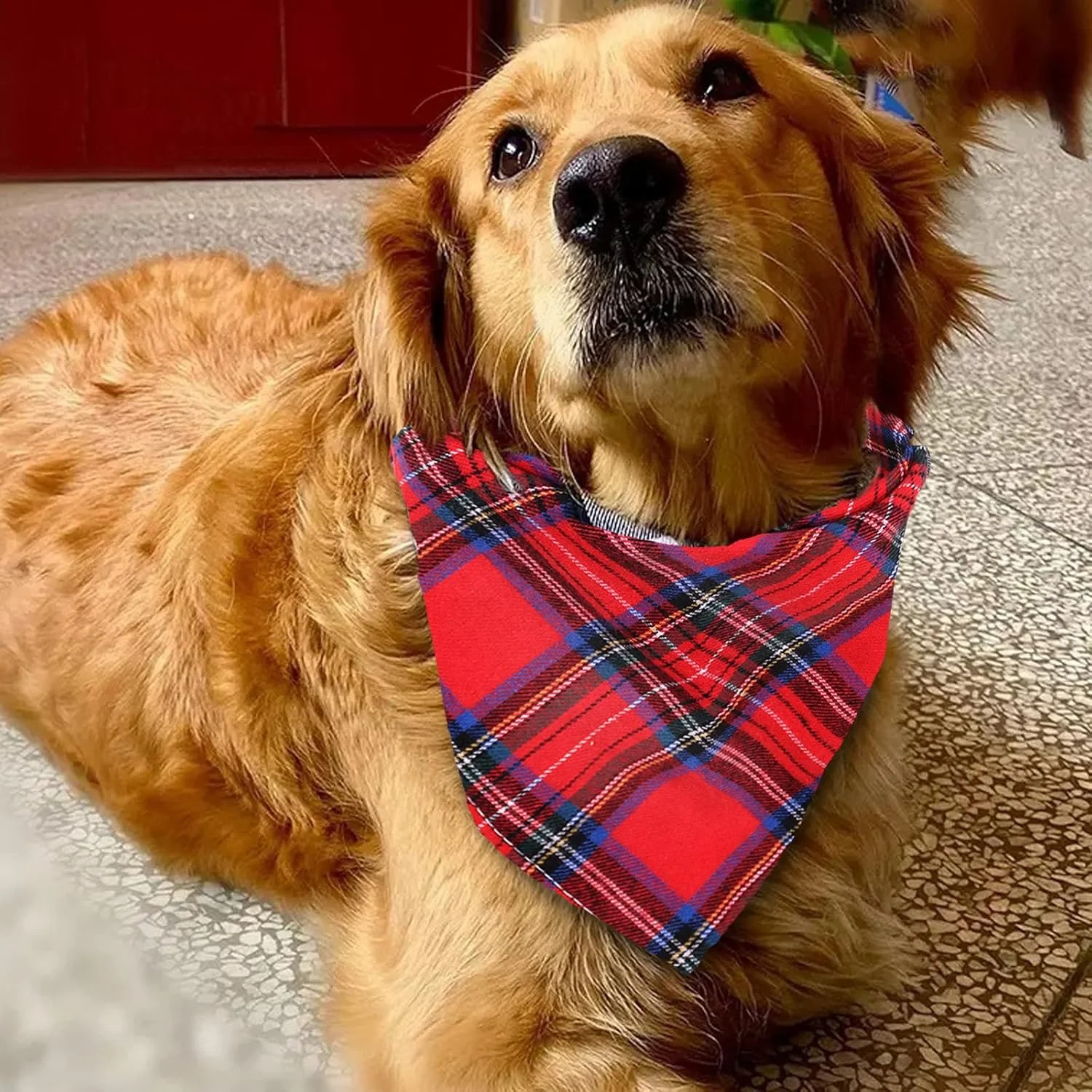 دستمال گردن سگ یک عددی (چهارخانه قرمز سایز بزرگ) - روسری مثلثی سگ برای استایل و کنترل آب دهان