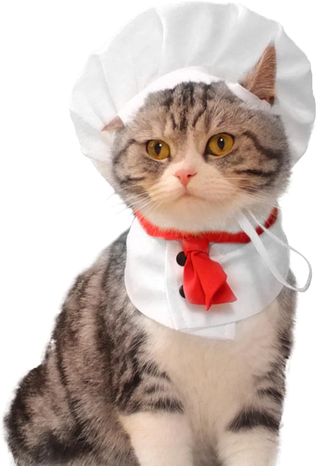لباس سرآشپز حیوانات خانگی - لباس با کلاه سرآشپز، لباس گربه و سگ، ایفای نقش، لباس فانتزی سرآشپز حیوانات خانگی، مناسب برای عکس برداری و مهمانی ها