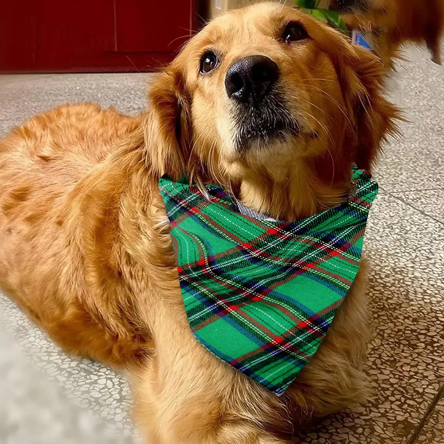 پیشبند حیوانات خانگی طرح دستمال گردن 1 عددی - پوشش مثلثی گردن طرح چهارخانه سبز و قرمز سایز بزرگ مناسب گربه ها و سگ های کوچک