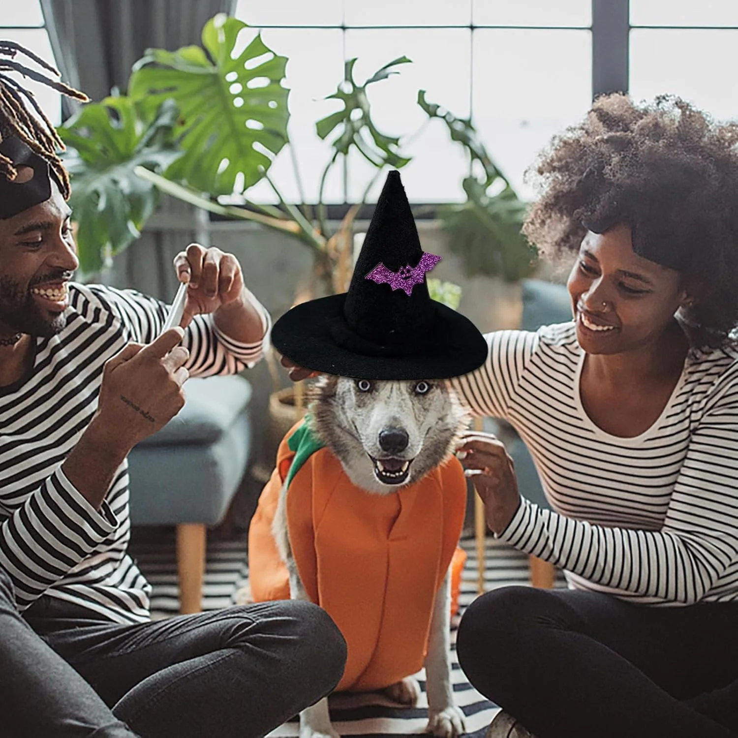 کلاه حیوانات خانگی - کلاه جادوگری برای گربه | اکسسوری لباس با طراحی قابل تنظیم برای جشن های خانوادگی، جشنواره ها، اجراهای تئاتر، مهمانی ها، نمایش های صحنه ای و جشن های بالماسکه