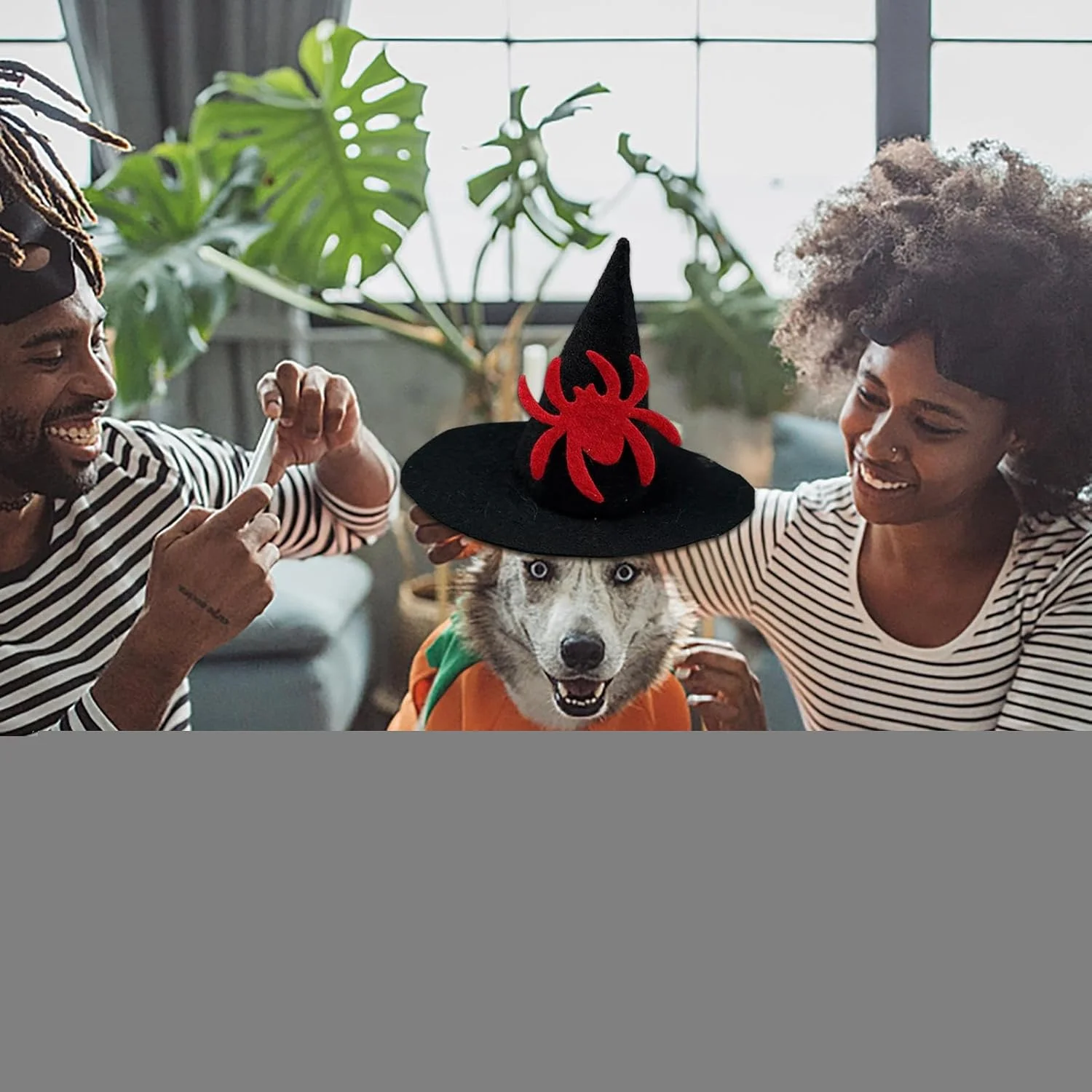 کلاه حیوانات خانگی - کلاه جادوگر سگ | اکسسوری لباس قابل تنظیم برای جشن های جشنواره نمایش صحنه، گردهمایی خانوادگی، مهمانی بالماسکه، اجرای تئاتر، مهمانی فانتزی
