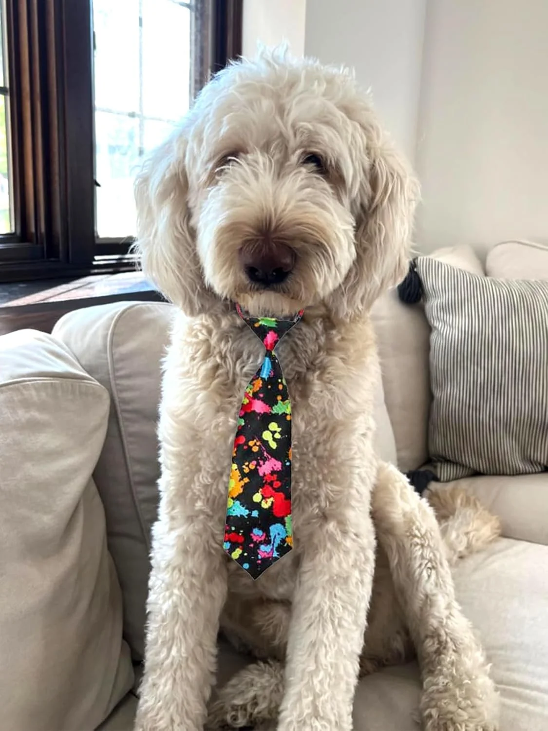 دو عدد کراوات سگ برای سگ های بزرگ، کراوات حیوانات خانگی با قلاده قابل تنظیم، لوازم آرایش برای سگ های زن و مرد برای روز ولنتاین، تولدها، نقش های عروسی دو عدد کراوات سگ برای سگ های بزرگ، کراوات حیوانات خانگی با قلاده قابل تنظیم، لوازم آرایش برای سگ های زن و مرد برای روز ولنتاین، تولدها، نقش های عروسی