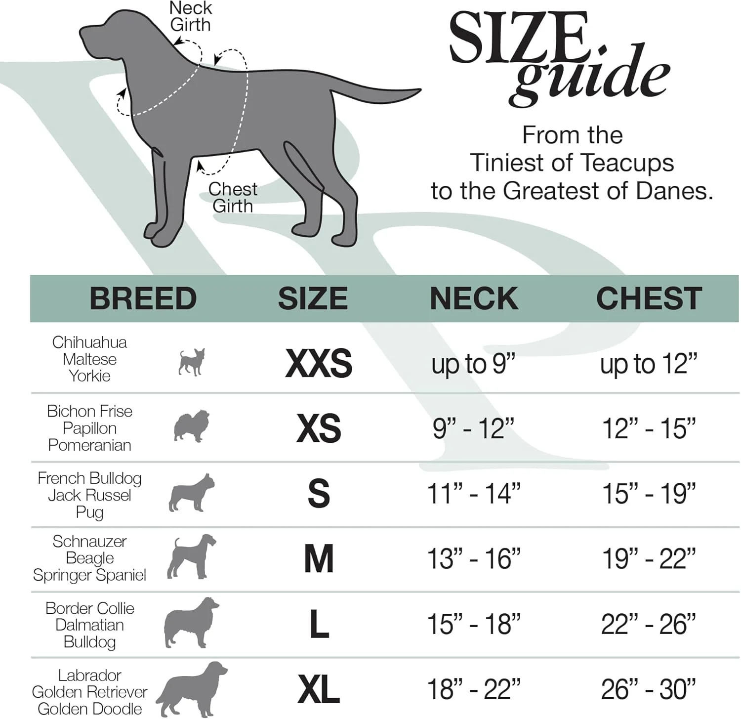 تیشرت آستین کوتاه سگ پنبه ارگانیک 100% بسته چندتایی اشتیاق حیوانات خانگی، تیشرت حیوانات خانگی برای همه نژادها، آمبره خاکستری، کوچک تیشرت آستین کوتاه سگ پنبه ارگانیک 100% بسته چندتایی اشتیاق حیوانات خانگی، تیشرت حیوانات خانگی برای همه نژادها، آمبره خاکستری، کوچک