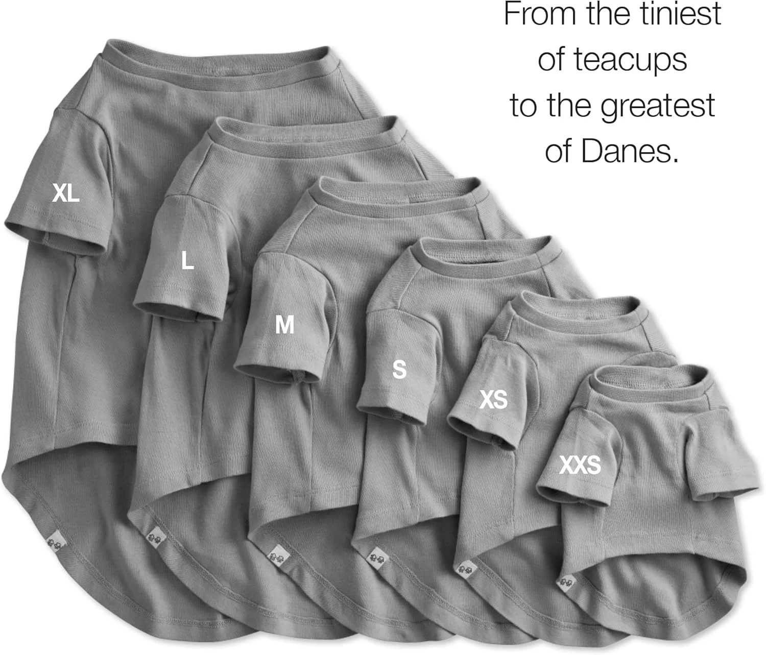 تیشرت آستین کوتاه سگ پنبه ارگانیک 100% بسته چندتایی اشتیاق حیوانات خانگی، تیشرت حیوانات خانگی برای همه نژادها، آمبره خاکستری، کوچک تیشرت آستین کوتاه سگ پنبه ارگانیک 100% بسته چندتایی اشتیاق حیوانات خانگی، تیشرت حیوانات خانگی برای همه نژادها، آمبره خاکستری، کوچک