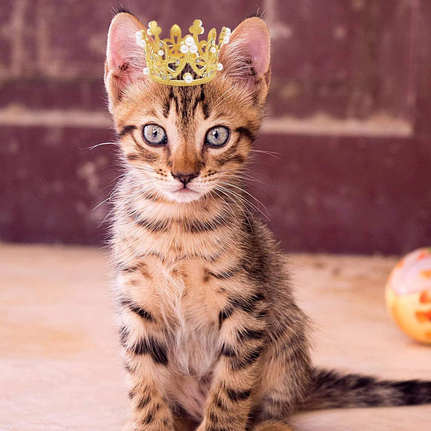 پت شو 2 عدد تاج سر سگ کوچک، کلاه خرگوشی گربه ای برای جشن تولد، تاج مروارید مصنوعی نگین دار طلایی نقره ای برای پسر دختر، لوازم جانبی مو عروسی، لوازم تزئینی عکس