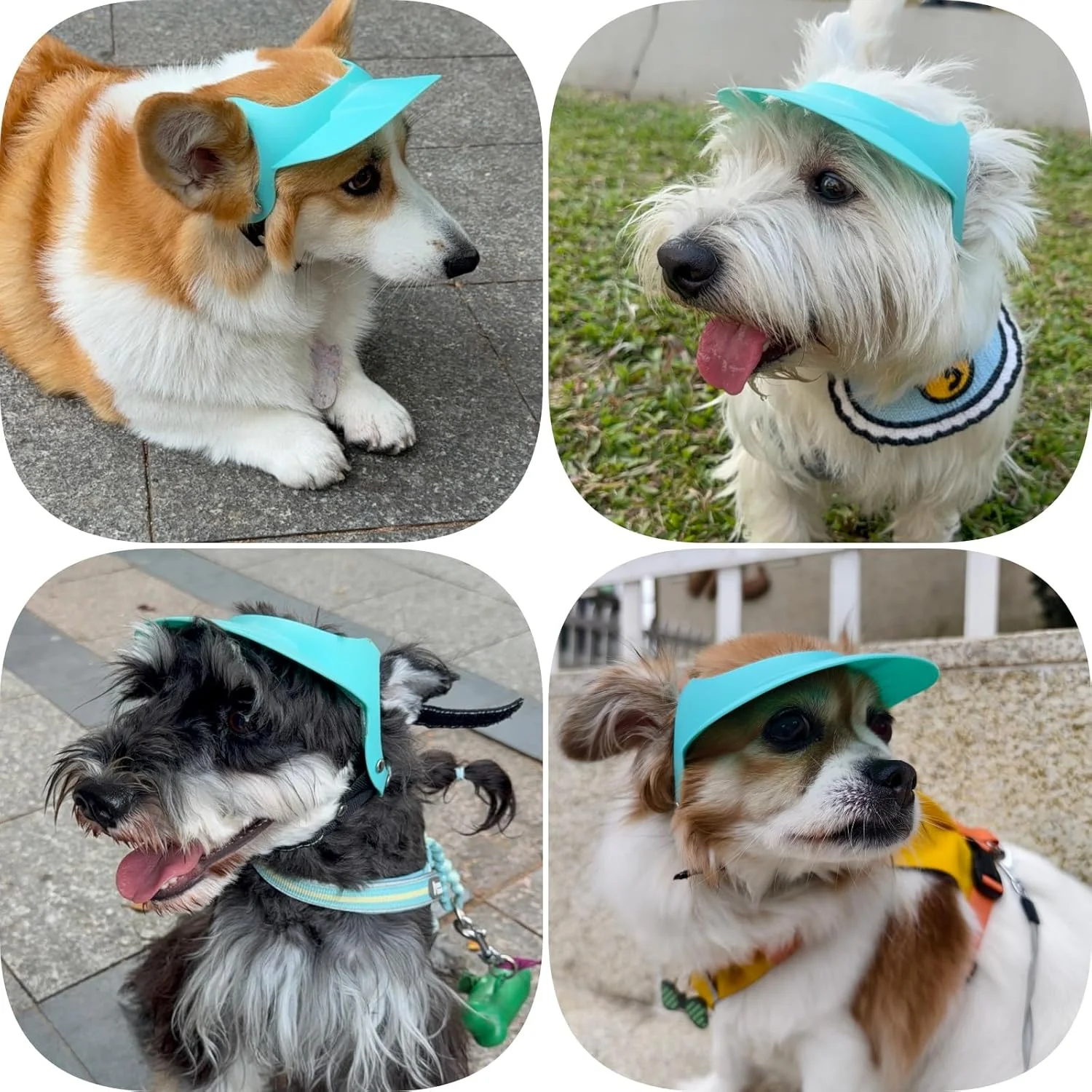 کلاه سگ PETLESO برای سگ های کوچک و متوسط، کلاه آفتابی سگ با سوراخ های گوش، کلاه بیسبال تنفسی حیوانات خانگی برای توله سگ های 7.5 تا 12.5 کیلوگرمی، آبی