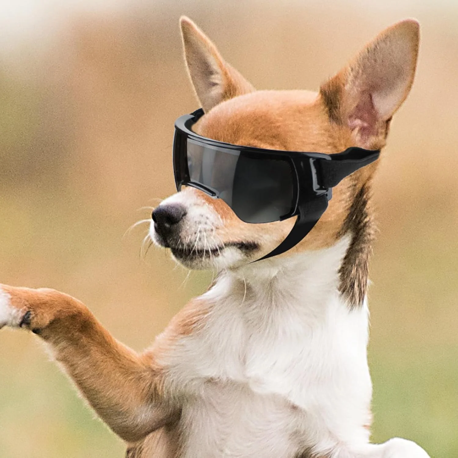 عینک محافظ سگ کوچک PETLESO، عینک آفتابی ضد اشعه ماوراء بنفش برای رانندگی، دوچرخه سواری، پیاده روی در فضای باز، محافظت از چشم در برابر باد، گرد و غبار و برف، عینک حیوانات خانگی با بند قابل تنظیم، مشکی