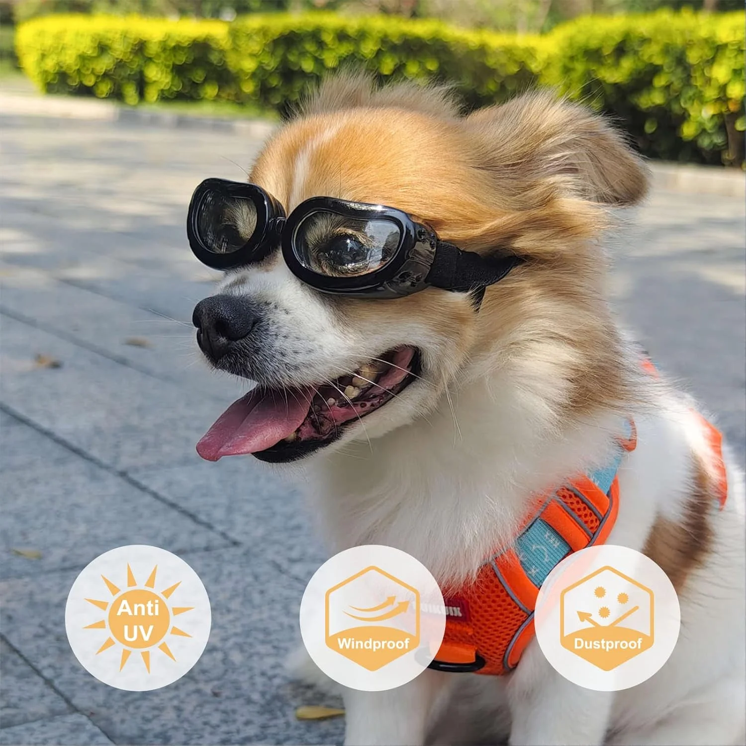 عینک آفتابی سگ PETLESO برای نژادهای کوچک، عینک محافظ چشم سگ برای سگ های کوچک مناسب برای رانندگی و فعالیت های خارج از منزل، لنز شفاف