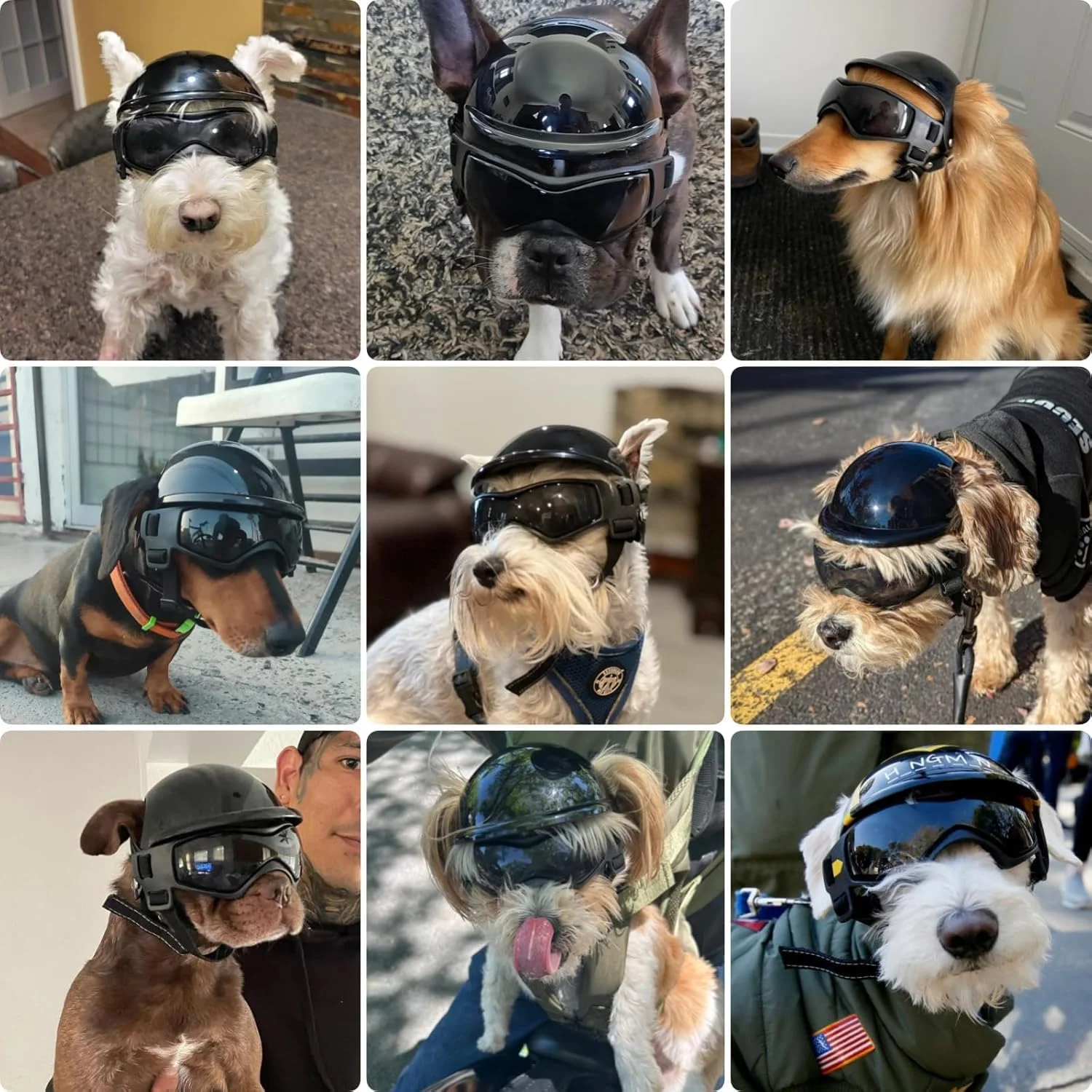 عینک و کلاه سگ PETLESO برای نژادهای کوچک، ست کلاه و عینک سگ برای رانندگی و پیاده روی در فضای باز، مشکی