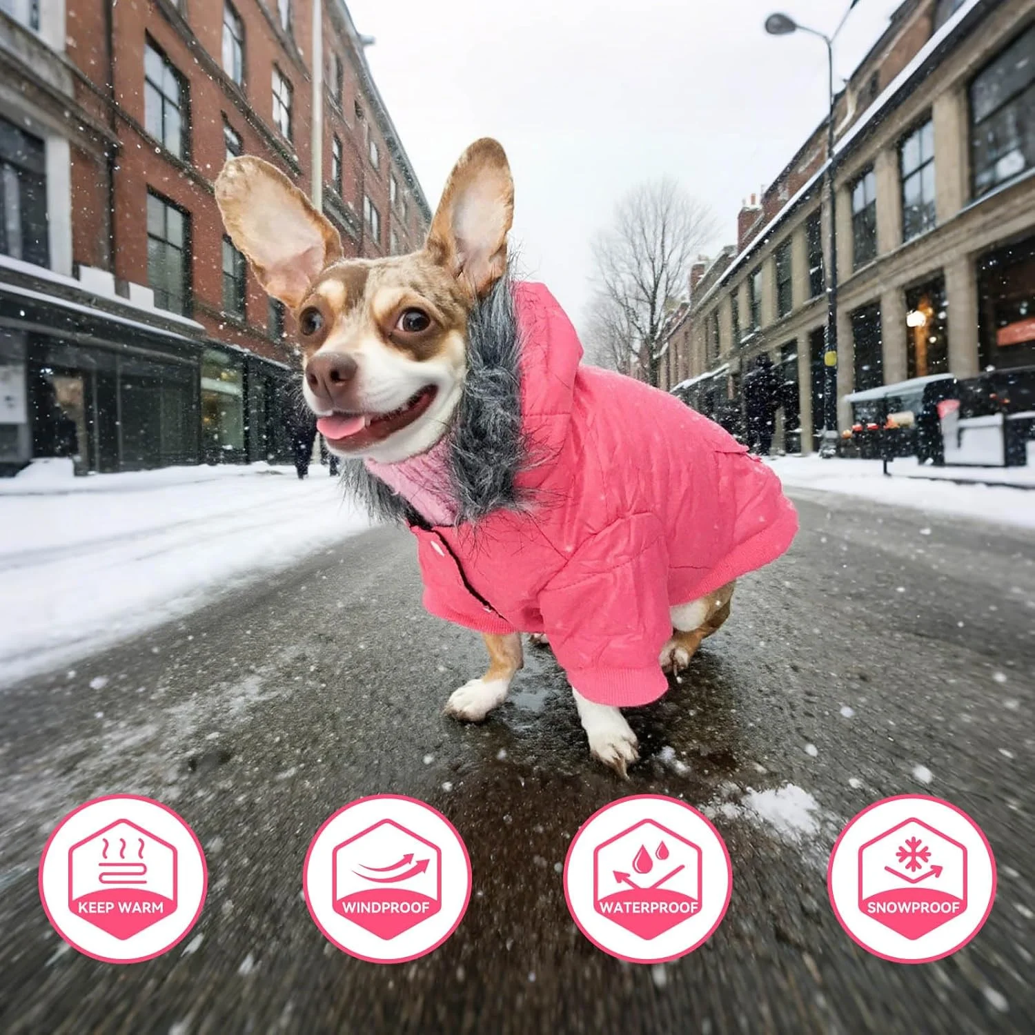 کت زمستانی سگ کوچک پتلسو، ژاکت گرم برای هوای سرد، ضد باد و ضد آب با سوراخ قلاده، مناسب توله سگ های کوچک، چیواوا و یورکی، صورتی M