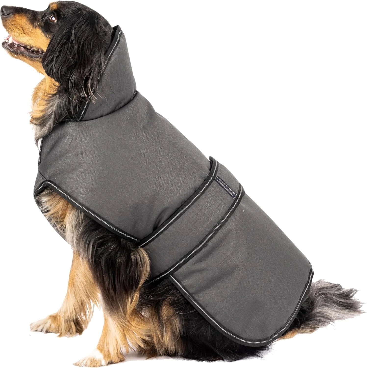 کت زمستانی ضدآب سگ پتراجوس دیزاینز مدل Juneau 7303CGL با پوشش کامل سینه سگ، دارای محل اتصال قلاده، طول 19 اینچ، ژاکت سنگین وزن برای سگ های بزرگ، خاکستری ذغالی