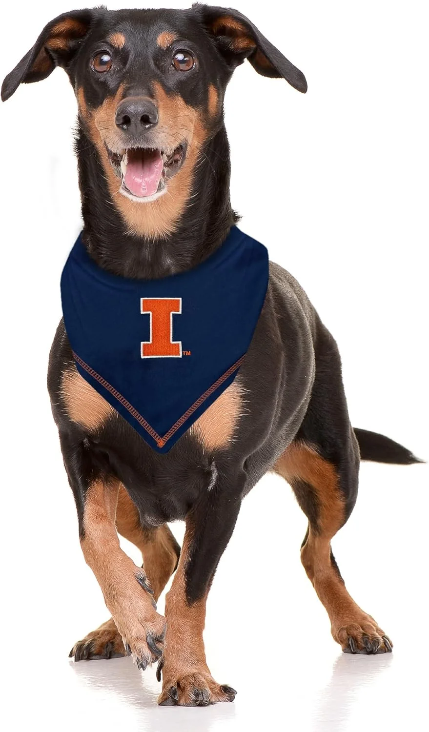 دستمال گردن سگ و گربه Pets First NCAA Illinois Fighting Illini Lions، سایز بزرگ/خیلی بزرگ. دستمال سر سگ برای حیوانات خانگی. مناسب برای روز مسابقه و مهمانی