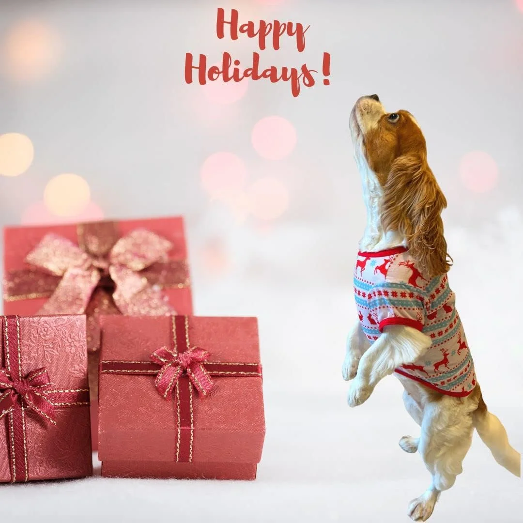 پیراهن کریسمس سگ PETSARY لباس کریسمس گربه | ژاکت توله سگ ژاکت گربه | طرح گوزن شمالی دانه برف نرم و گرم زیبا | لباس های نازک کریسمس | پارچه تعطیلات حیوانات خانگی نرم و راحت برای سگ ها (کوچک)