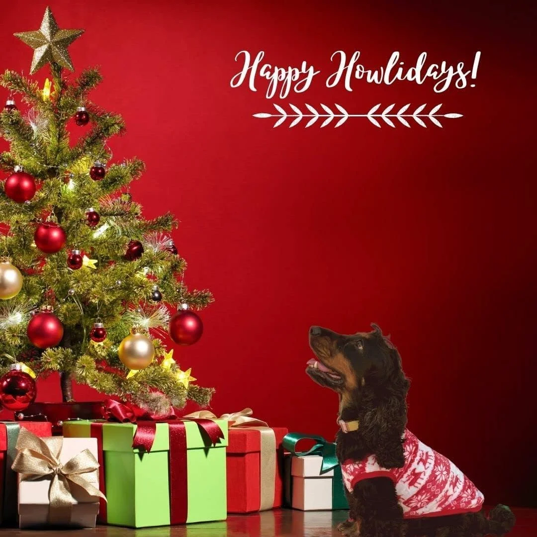 پلیور بافتنی سگ طرح گوزن کریسمس و دانه برف PETSARY به همراه یک عدد هدیه پلاک شناسایی حیوان خانگی - لباس گرم و نرم با طرح گوزن و دانه برف - یقه اسکی پشمی مناسب فصل زمستان (متوسط)