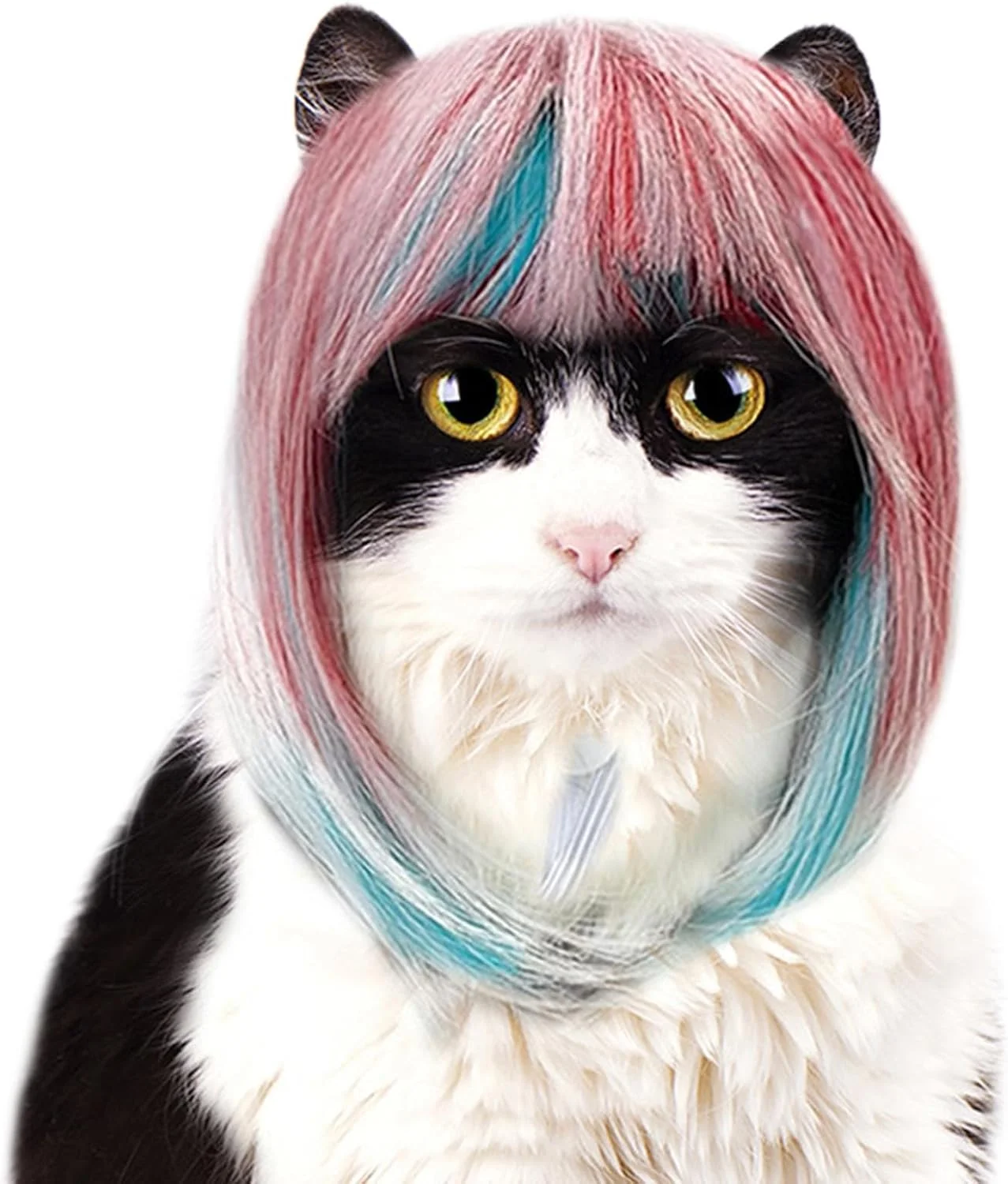 کلاه گیس خنده دار گربه، کلاه گیس فانتزی حیوانات خانگی آبی صورتی، کلاه گیس سگ برای عکاسی، مسافرت و دورهمی، مناسب نقش بازی در محیط های داخلی و خارجی، جشن و هالووین