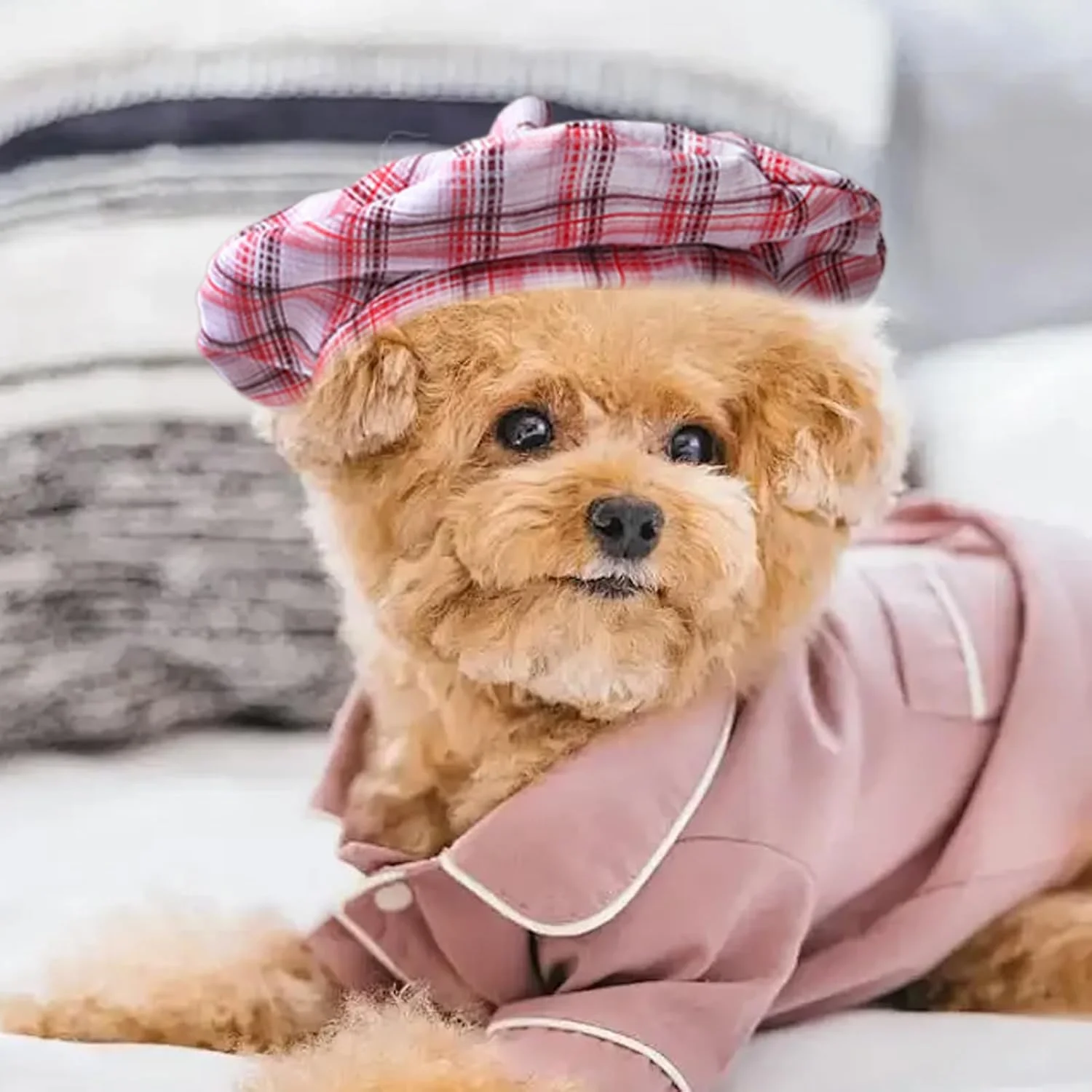 کلاه سگ | کلاه عکاسی هنری گربه، کلاه بره توله سگ با بند قابل تنظیم، کلاه هنرمند فرانسوی یکپارچهسازی با سیستمعامل برای توله سگ ها و بچه گربه ها، مناسب پیاده روی و جشن تولد