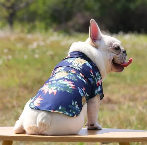 پیراهن حیوانات خانگی با طرح آناناس مناسب بهار و تابستان، تاپ تنفسی سگ و گربه برای حیوانات خانگی کوچک و متوسط، سرمه ای، سایز S