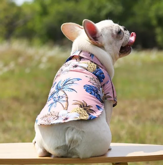 پیراهن حیوانات خانگی با طرح آناناس مناسب بهار و تابستان، تاپ تنفسی سگ و گربه برای حیوانات خانگی کوچک و متوسط، صورتی، سایز S