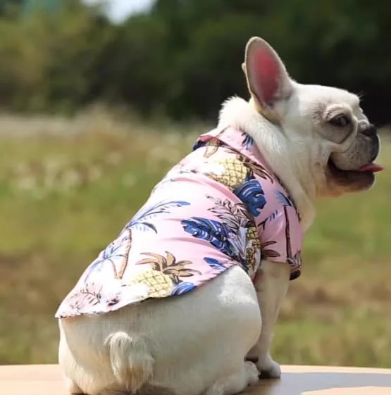 پیراهن حیوانات خانگی با طرح آناناس مناسب بهار و تابستان، تاپ تنفسی سگ و گربه برای حیوانات خانگی کوچک و متوسط، صورتی، سایز S