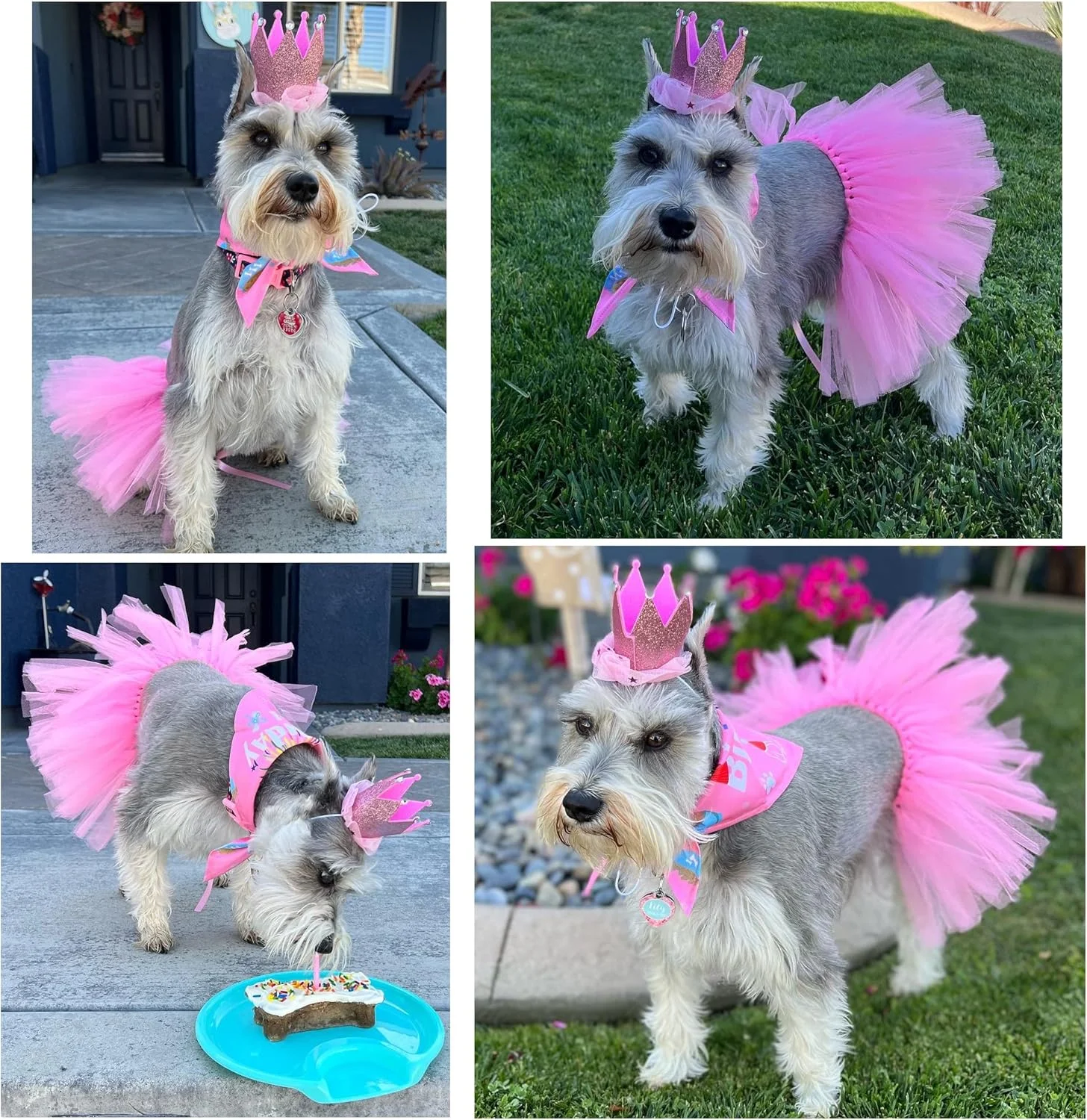 ست 3 تکه لباس تولد سگ صورتی POSAPET - کلاه شماره دار قابل تنظیم، دامن توتو و روسری برای سگ های کوچک و متوسط، لوازم جانبی عکس جشن تولد سگ دخترانه