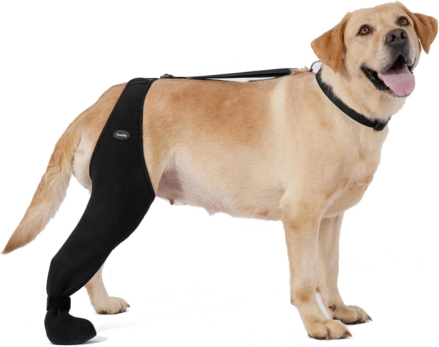 جوراب سگ برای جلوگیری از لیسیدن پنجه ها، آستین ساق تنفسی سگ برای جلوگیری از لیسیدن و گاز گرفتن، جوراب آستین ریکاوری سگ با سایز قابل تنظیم، محکم و مطمئن (L-راست)