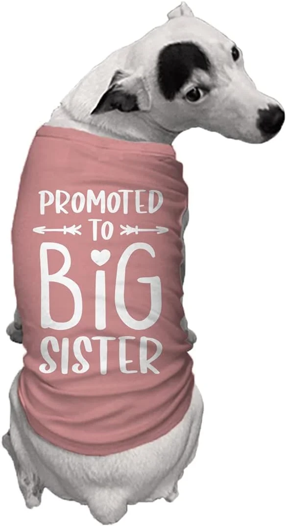 تی‌شرت سگ با طرح «ارتقا به خواهر بزرگتر» (بنفش مایل به خاکستری، خیلی کوچک)
