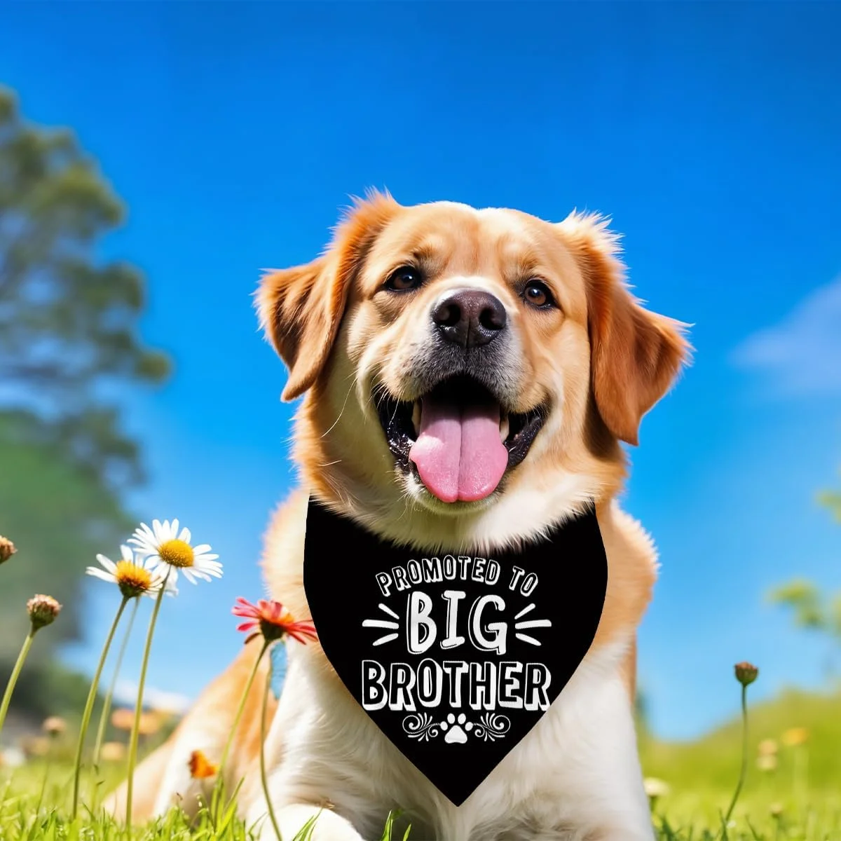 دستمال گردن سگ، دستمال گردن سگ برادر بزرگتر، شال سگ های مشکی با طرح چهارخانه کلاسیک، دستمال گردن سگ ها، شال گردن حیوانات خانگی با طرح چهارخانه - B19