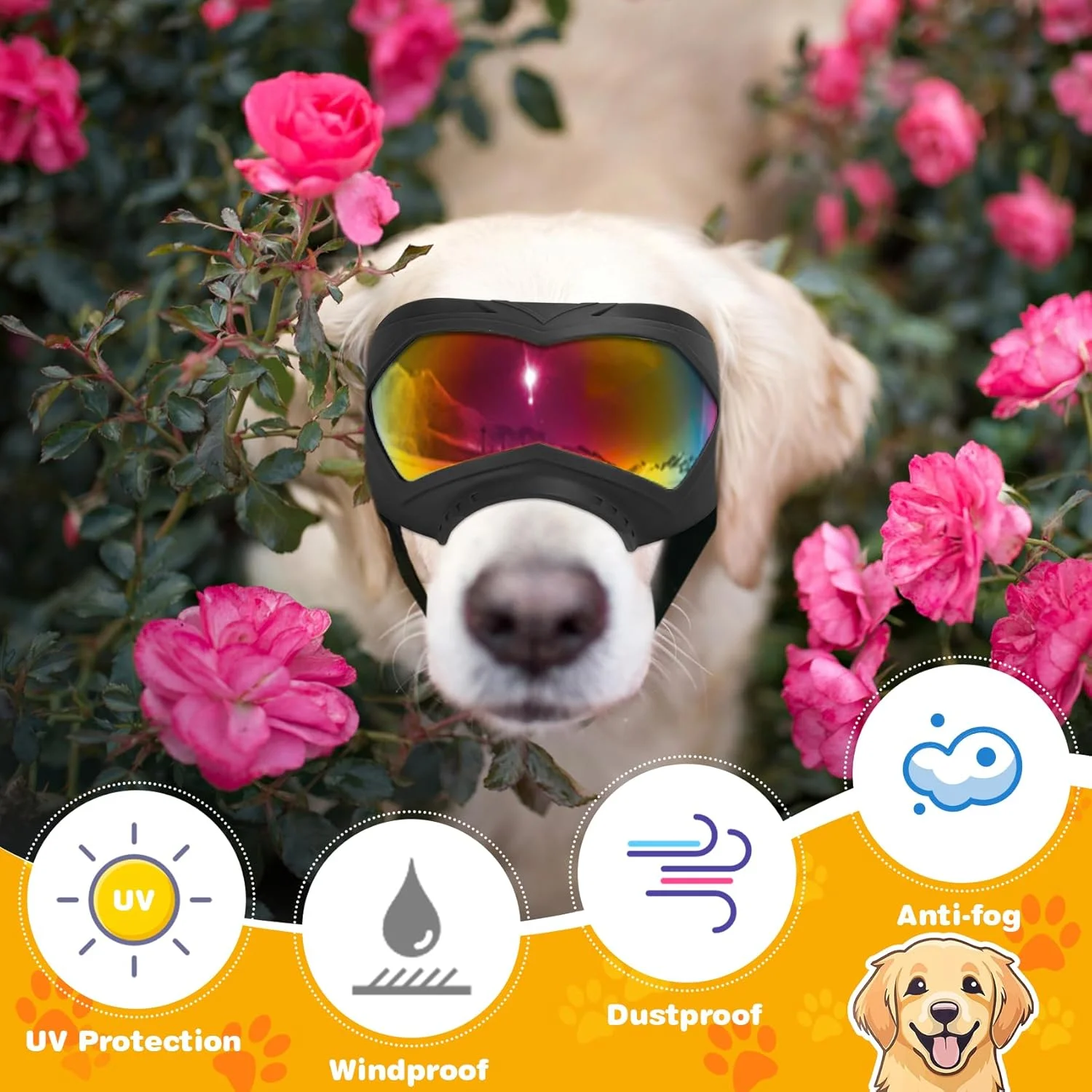 عینک آفتابی سگ، محافظت در برابر اشعه ماوراء بنفش، ضد باد، ضد گرد و غبار، ضد بخار برای سگ های بزرگ و متوسط، فریم TPE سبک وزن با بند قابل تنظیم، محافظت شیک در فضای باز عینک آفتابی سگ، محافظت در برابر اشعه ماوراء بنفش، ضد باد، ضد گرد و غبار، ضد بخار برای سگ های بزرگ و متوسط، فریم TPE سبک وزن با بند قابل تنظیم، محافظت شیک در فضای باز
