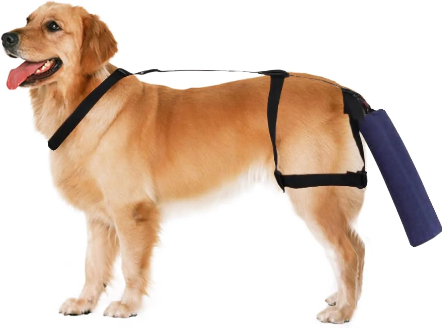 محافظ دم سگ، محافظ دم سگ قابل تنظیم، پوشش دم سگ برای زخم ها، آستین محافظ انتهای دم سگ برای جلوگیری از لیسیدن و بهبودی، آبی