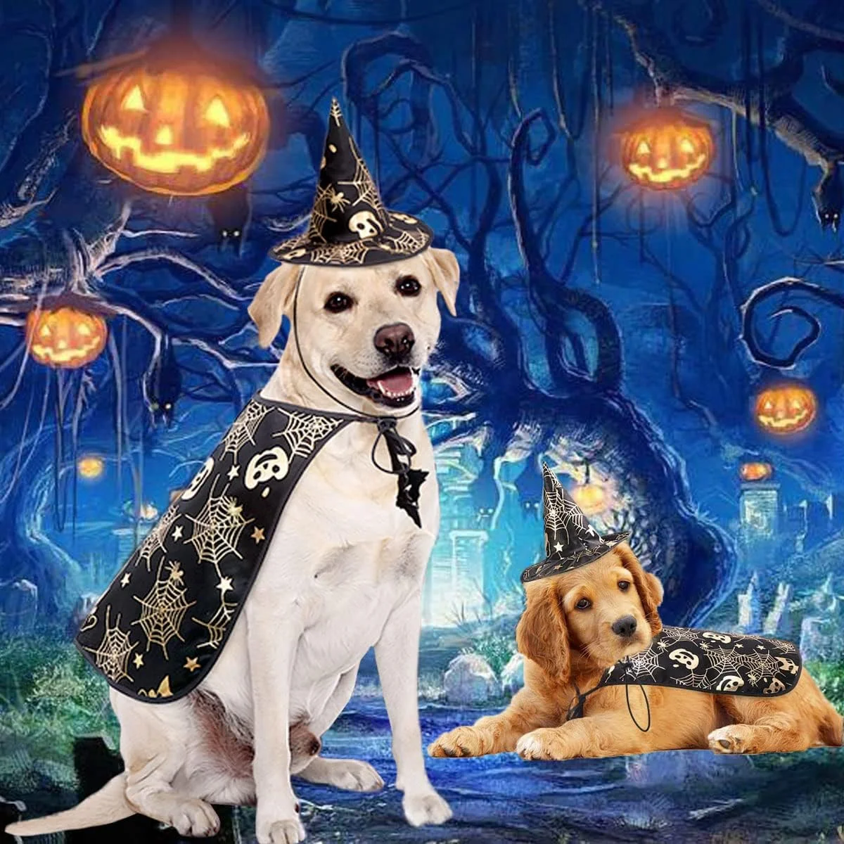 ست لباس هالووین سگ، شنل خون آشام و کلاه جادوگر، لباس جالب مهمانی و سرگرم کننده، مناسب برای سگ های متوسط و بزرگ، کلاه/شنل جادوگری با طرح کدو تنبل و تار عنکبوت (2 تکه)