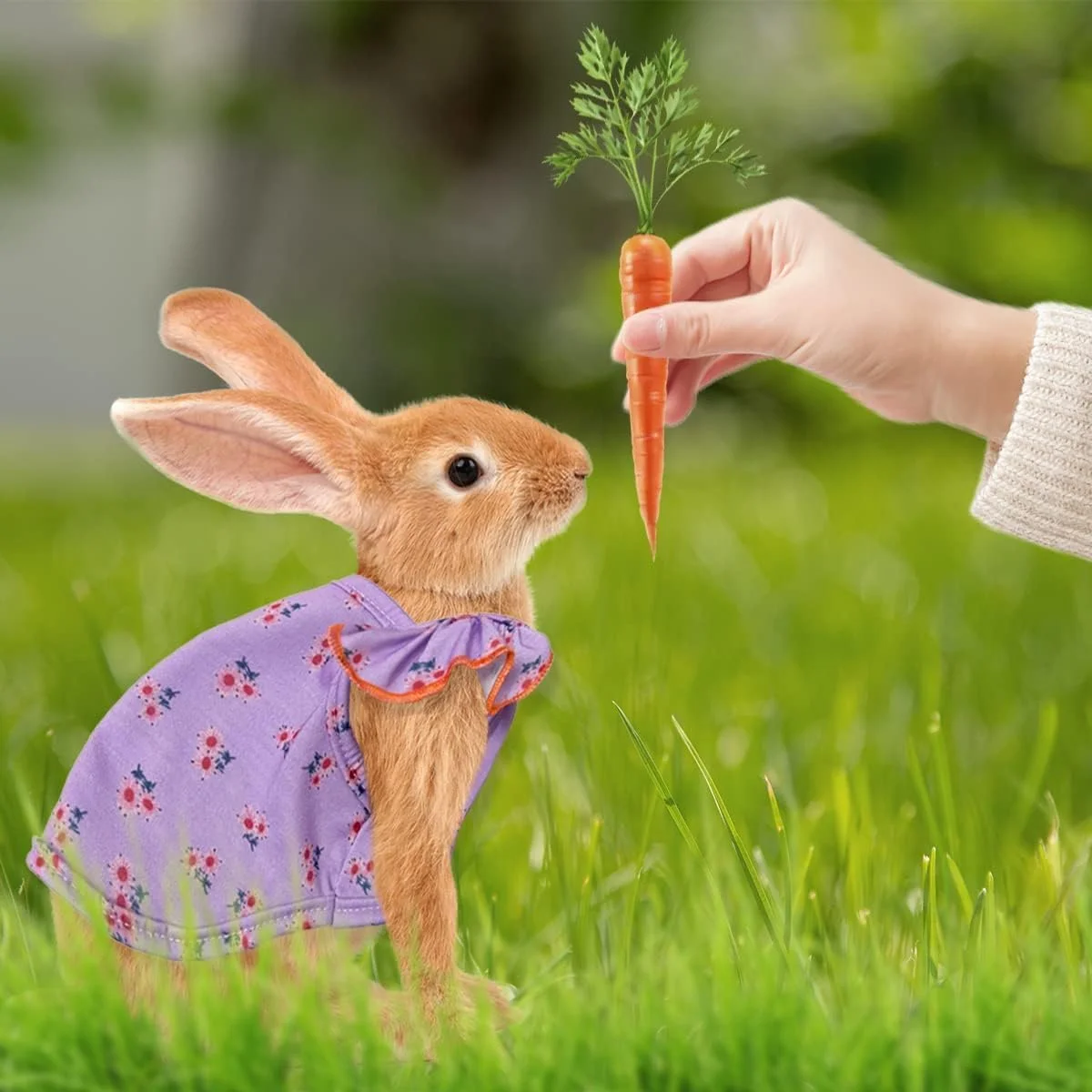 ست ۳ عددی لباس خرگوشی، دامن لباس گلدار برای خوکچه هندی، گربه کوچک، سگ و حیوانات کوچک (سبز+بنفش+صورتی، L)
