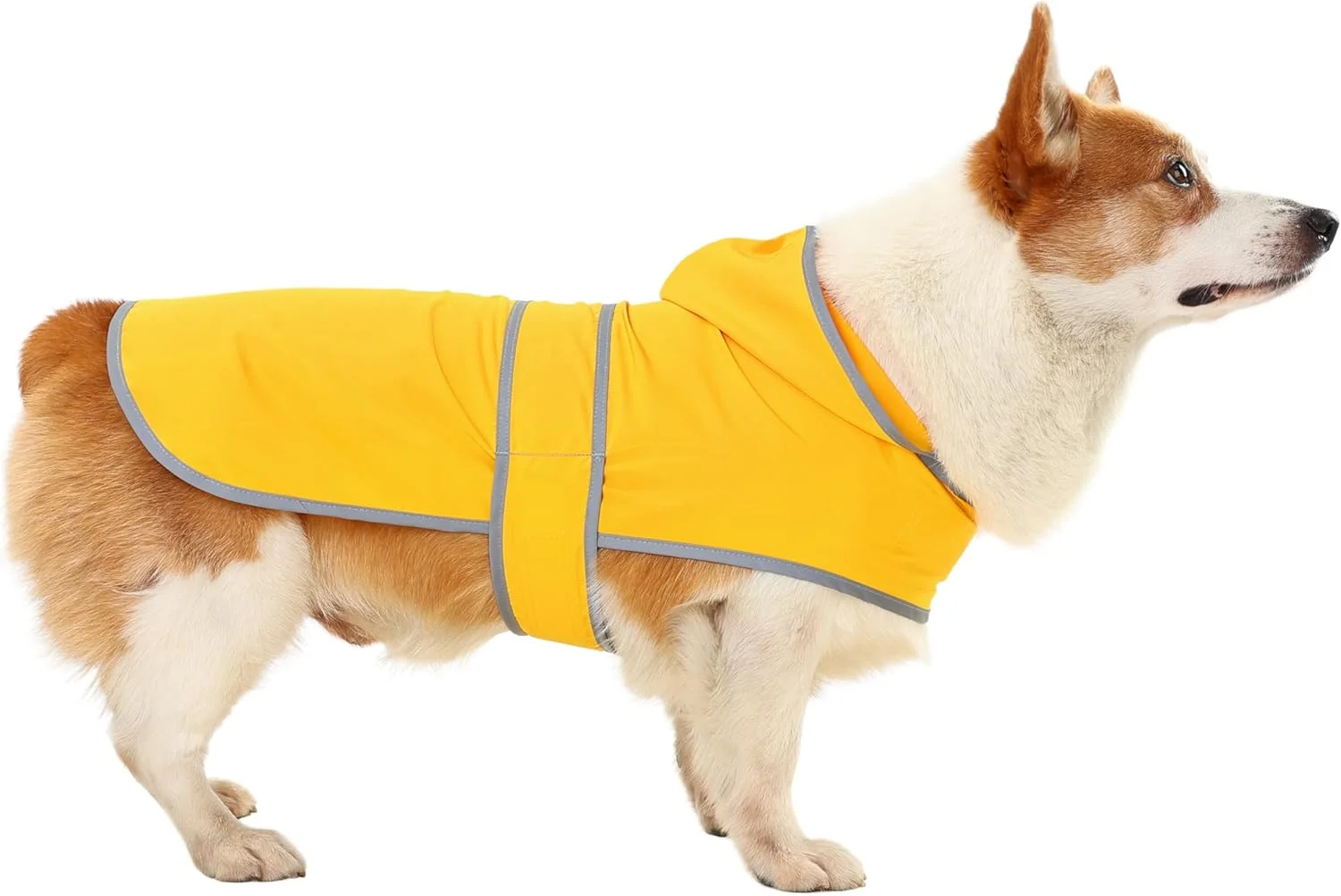 بارانی سگ با کلاه و سوراخ قلاده، بارانی سگ با بند شکمی قابل تنظیم، نوارهای بازتابنده، ژاکت بارانی سبک وزن برای سگ های کوچک، متوسط و بزرگ