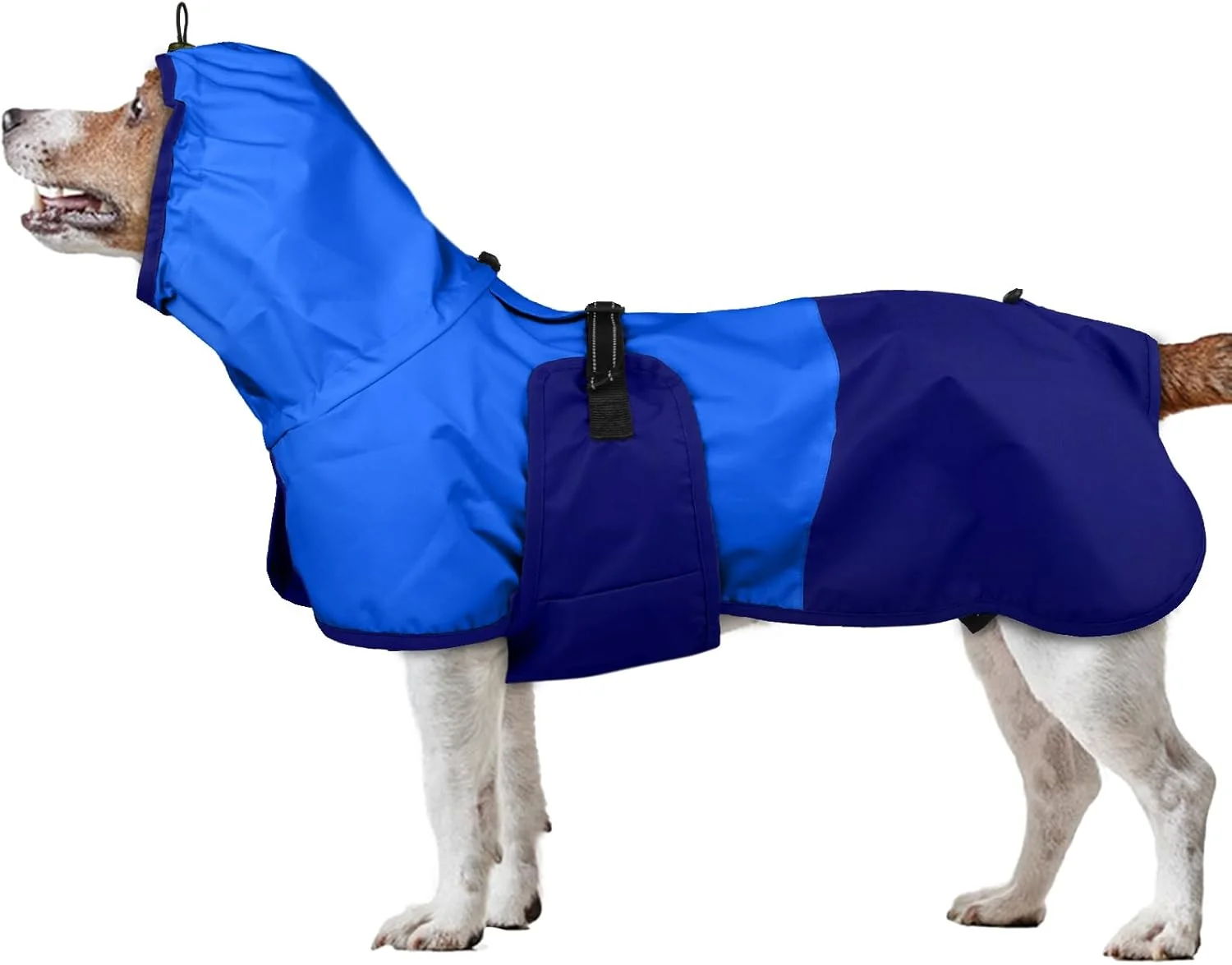 بارانی سگ متوسط، ژاکت بارانی سبک وزن ضد آب بازتابنده با کلاه برای پیاده روی روزانه (آبی، M)