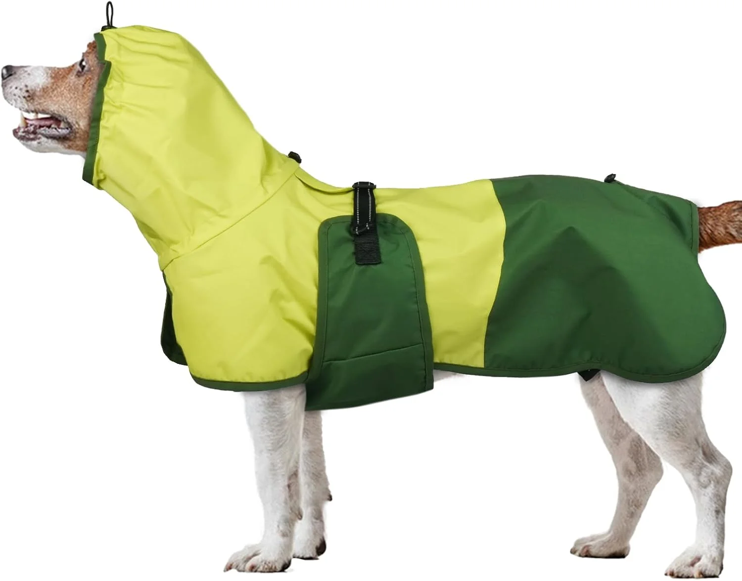 بارانی سگ، مناسب سگ های کوچک، کت ضد آب سگ با کلاه، شنل ضد آب سگ کوچک، سگ کوچک (سبز، S)