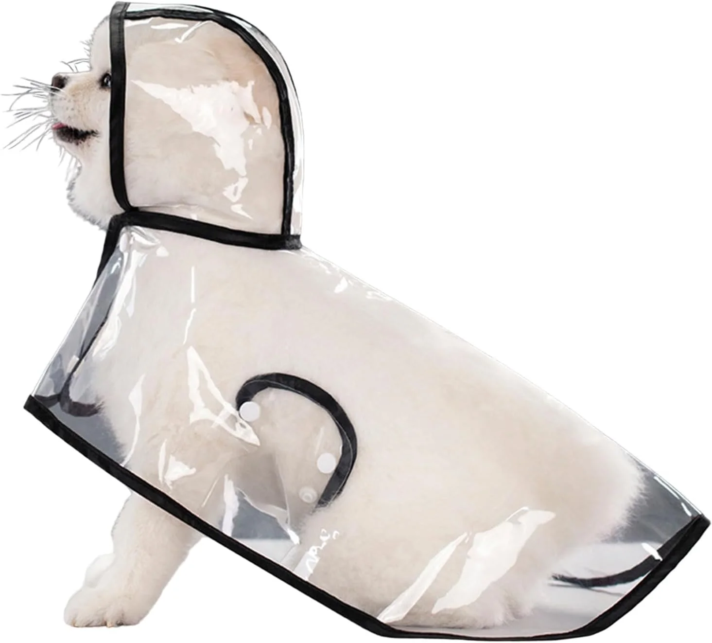 بارانی، پانچو و هودی سگ در 5 سایز مختلف برای پیاده‌روی و گردش