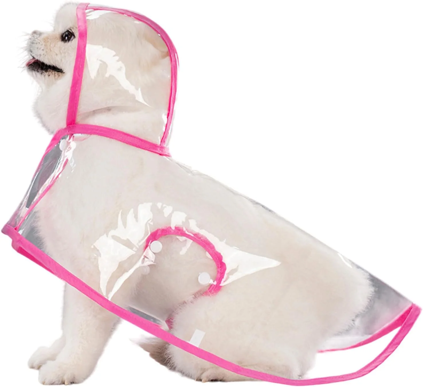 بارانی، پانچو و هودی سگ، 5 سایز مختلف برای پیاده‌روی و گردش