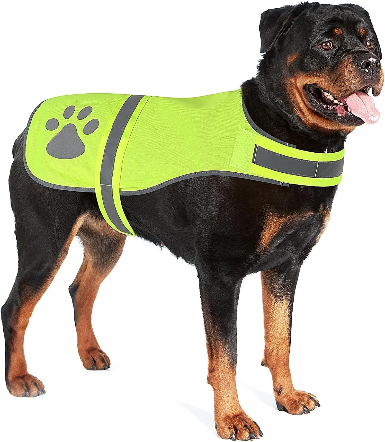 جلیقه سگ بازتابنده ایمنی، جلیقه شکار حیوانات خانگی با دید بالا، ژاکت سبک وزن سگ برای پیاده روی شبانه، شکار، کمپینگ (سبز نئونی، بزرگ)