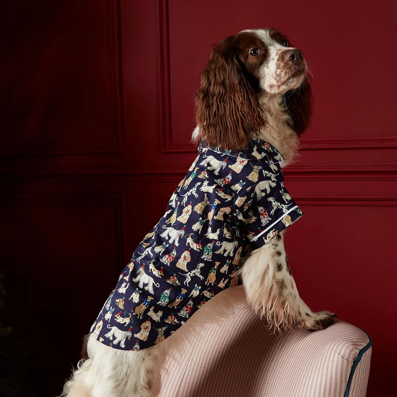 لباس خواب سگ جولز طرح کریسمس، سایز کوچک - لباس تعطیلات دنج سگ، لباس راحت سگ برای کریسمس، ایده آل برای زمستان، هدیه شیک حیوانات خانگی