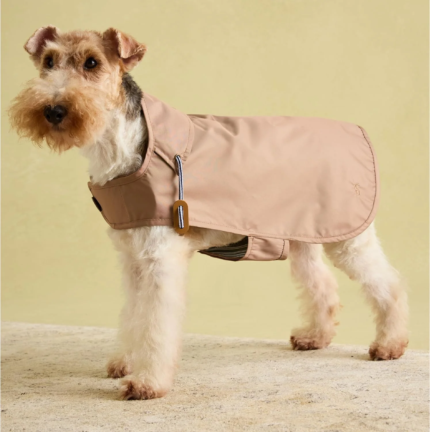 بارانی سگ ژولز مدل Burra Brown Rosewood، سایز متوسط، قابل شستشو، سبک وزن، ضد آب برای سگ های متوسط